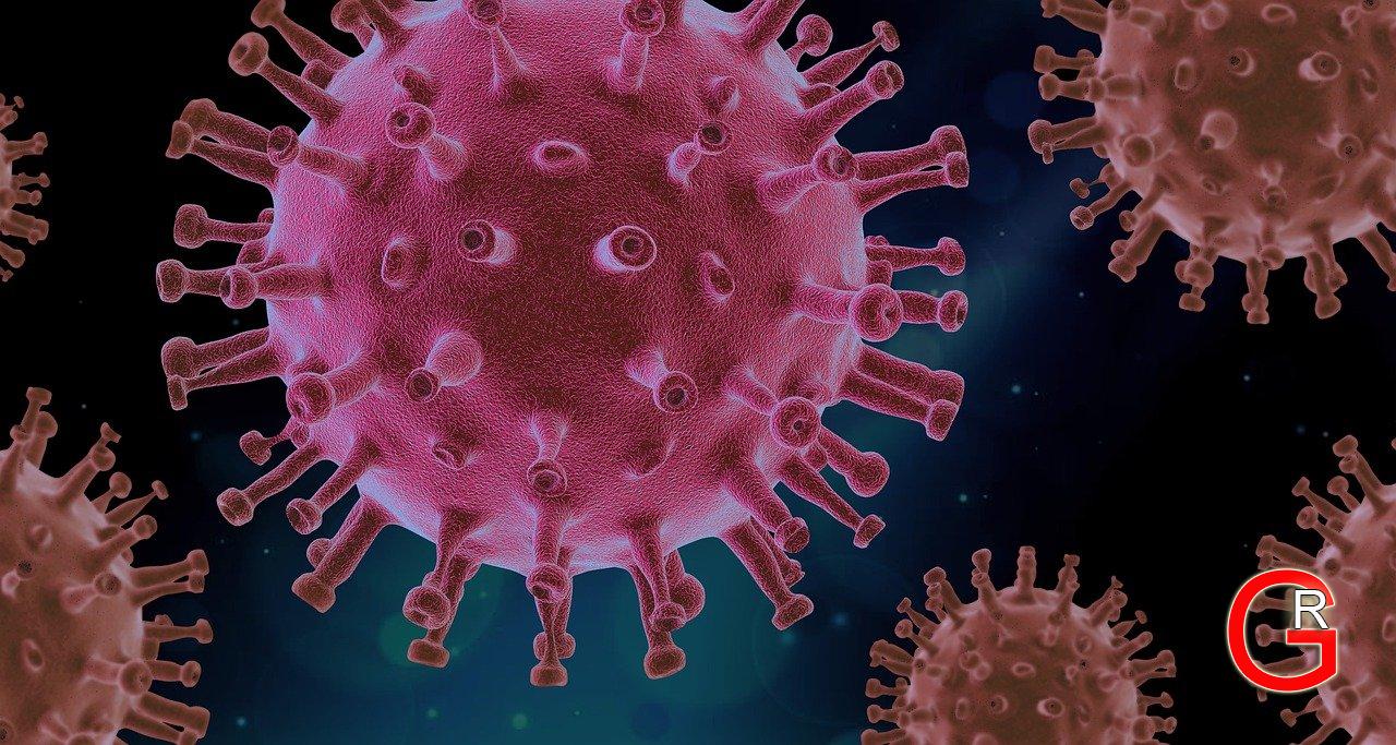 Koronavirus
